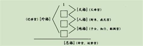 九宮流年|姓名學中的九宮流年